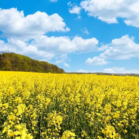 Wusse Stralsund Apartmán Ummanz