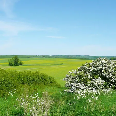 Wusse Stralsund Ummanz