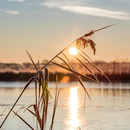 Wusse Stralsund Ummanz